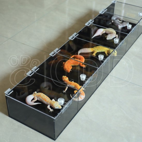 Modern Sleek Design 3-Layer Acrylic Terrarium Customizable Store Display Reptile Enclosure & Amphibian Supplies