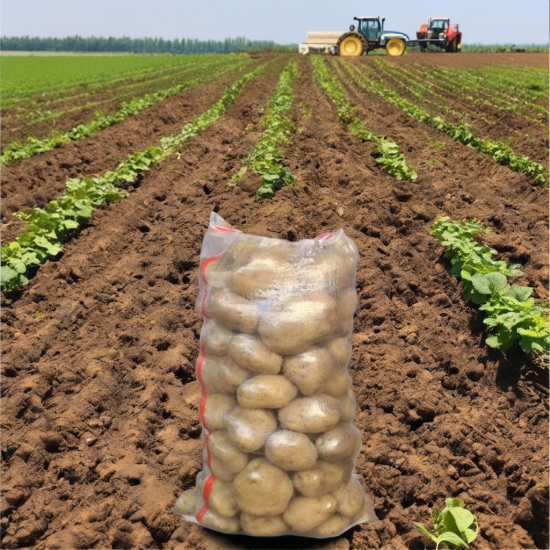 Vietnam Hot Sale Customizable Size 15 25 50kg PP Woven Bag PE Plastic Agriculture Packaging for Potato Rice Wheat Coffee Storage