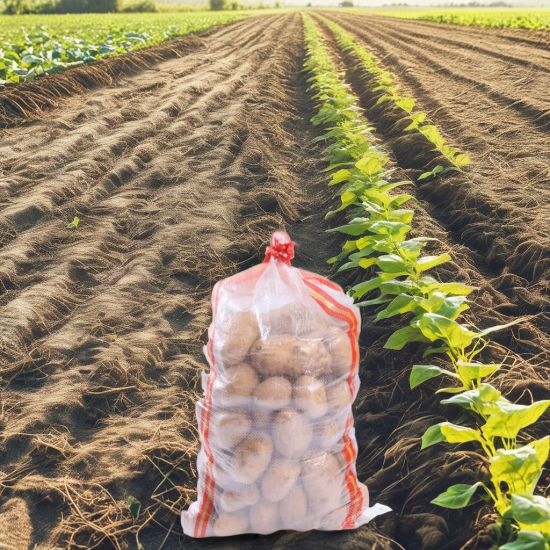 Vietnam Hot Sale Customizable Size 15 25 50kg PP Woven Bag PE Plastic Agriculture Packaging for Potato Rice Wheat Coffee Storage