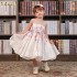 French Garden Taffeta Dress ODM OEM Baby Smocked Dress Wholesale Manufacturer - FC006