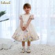 Spring Bloom Fancy Dress ODM OEM Baby Smocked Dress Wholesale Manufacturer - FC008