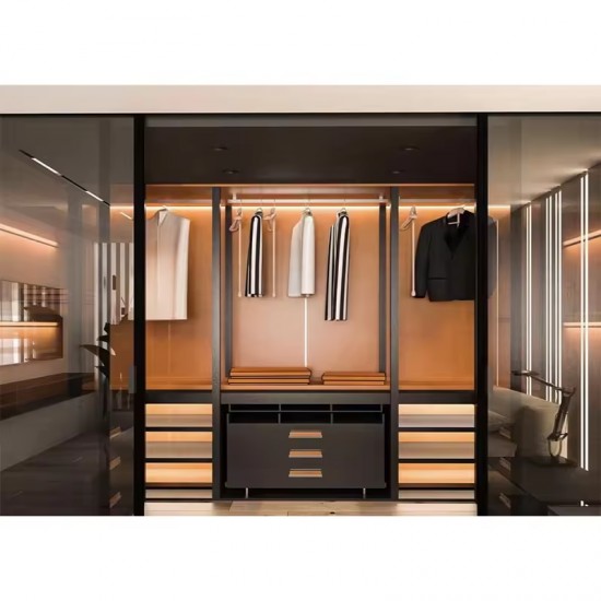 Whole House Wardrobe Modern Closet Design Glass and Wood Dressing Room Wardrobe Closet Wardrobe Storage