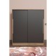 Zambak Sliding Wardrobe-11 Multi-Shelf-2 Drawer and Hanging Pine Case Grey-Grey Door Multi-Functional Minimalist Closet Solution