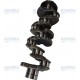 High Quality OM651 Diesel Auto Crank Shaft Engine Alloy Steel Crankshaft for Benz 651 4 Pages 8 Pages A6510301201 A6510302501