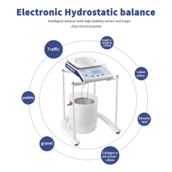 Hot Selling Precision 0.1 g 0.01 g Hydrostatic Gravity Density Balance Scale Weighing Scale with RS232 Interface