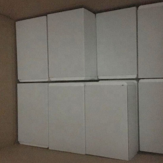 Transparent Female Urethral Catheterization Model