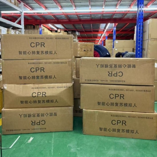 Transparent Female Urethral Catheterization Model