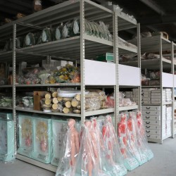 Transparent Female Urethral Catheterization Model