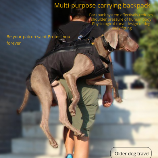 Medium and Large Aged and Sick Dogs, Double Shoulder Carrying Dogs, Pets, Portable Backpacks When Going Out