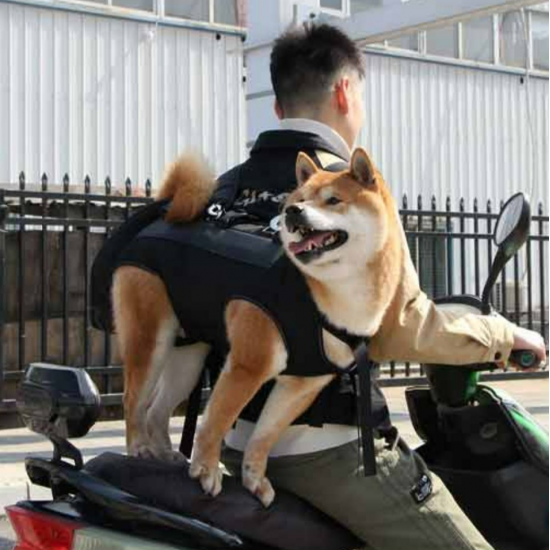 Medium and Large Aged and Sick Dogs, Double Shoulder Carrying Dogs, Pets, Portable Backpacks When Going Out
