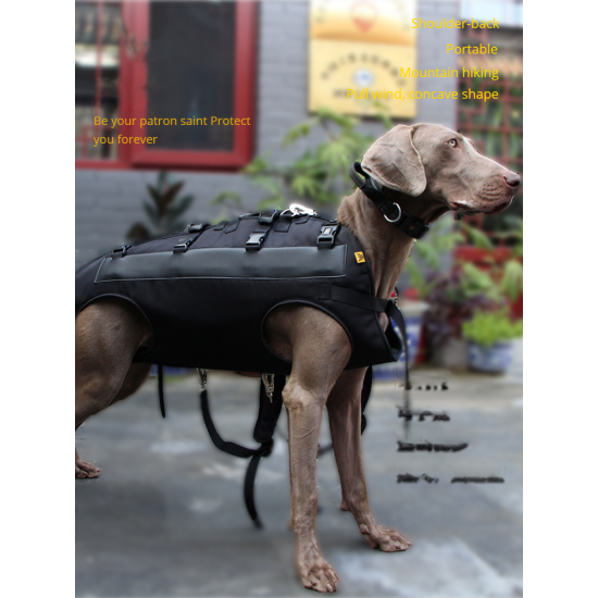 Medium and Large Aged and Sick Dogs, Double Shoulder Carrying Dogs, Pets, Portable Backpacks When Going Out