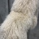 Premium Fur Winter Warm Khaki Short Style Clothes Fur Women's Clothing Fur Jacket