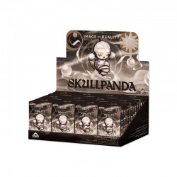 POP MART Skullpanda Image of Reality Series Mystery Box 12pcs SP Blind Box Cute Birthday Gift