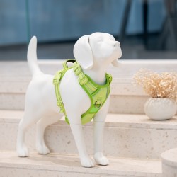 Sunraymascota Personalized White Beagle Model Dog Mannequin Whole Real Size Mannequin