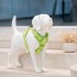 Sunraymascota Personalized White Beagle Model Dog Mannequin Whole Real Size Mannequin