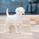 Sunraymascota Personalized White Beagle Model Dog Mannequin Whole Real Size Mannequin