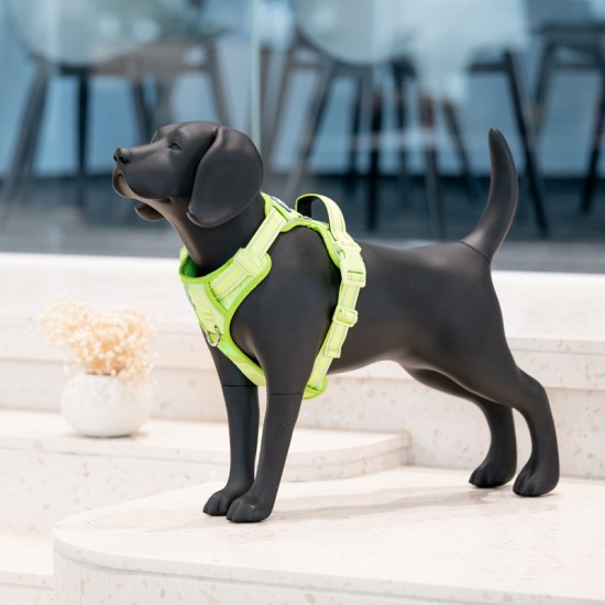 Sunraymascota Personalized White Beagle Model Dog Mannequin Whole Real Size Mannequin