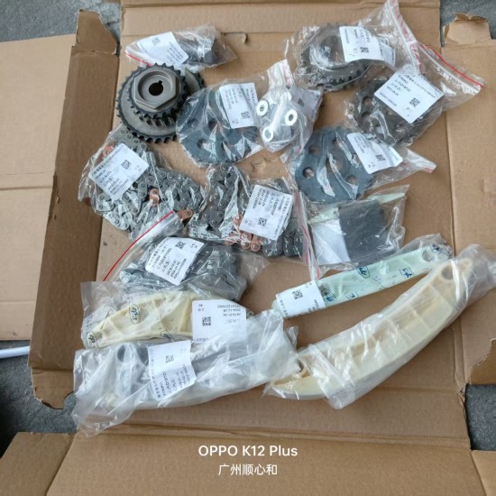 Original Engine Timing Chain Kit & Accessories for Changan Hunter F70/Peugeot Landtrek