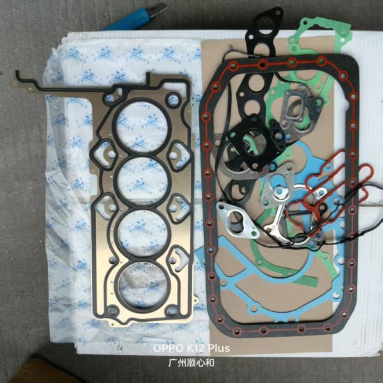 Original Engine Timing Chain Kit & Accessories for Changan Hunter F70/Peugeot Landtrek