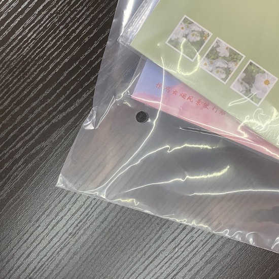 Custom Thickened Self-Sealing PE Plastic Storage Bag for Clothing Packaging Transparent Sealable Gravure Printing Surface