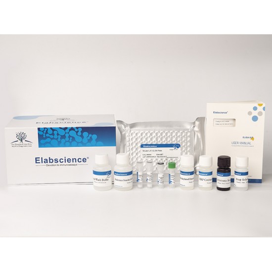 Human IL-6(Interleukin 6)  ELISA Kit
