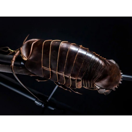 Guangzhou Shenglu Custom PU Leather Lady Style Handmade Isopod Sling Bag Unique Personalized Purse