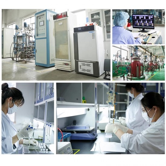 General Solid Pectinase (High Activity 300,000 U/g) Powder PG+PL+PE+Protopectinase (Full-spectrum Enzyme System)