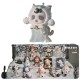 Wholesale 100% Original Skullpanda Everyday Wonderland Series Mystery Box 1PC/12PCS Blind Box POPMART Action Figure SP
