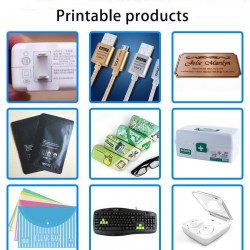 Semi-Automatic Single Color Pad Printing Machine for PVC Balls Pens Keychain Golf Tees Metal Parts Bottles Label Printing