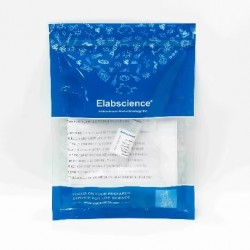 TNF Alpha Polyclonal Antibody