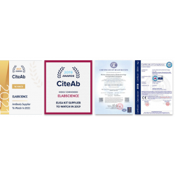 TNF Alpha Polyclonal Antibody