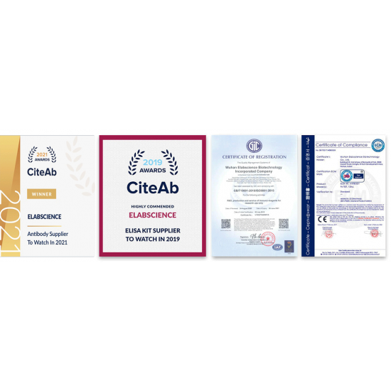 TNF Alpha Polyclonal Antibody