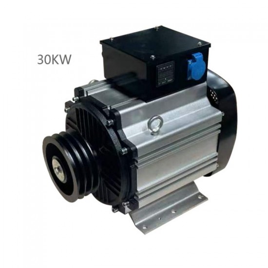 50zh 60hz 220v 380v 3kw 5kw 10kw 20kw 30kw 50kw 75kw 20kva 30kVA 100kW Brushless Alternator 100% Copper Wire Alternator Price