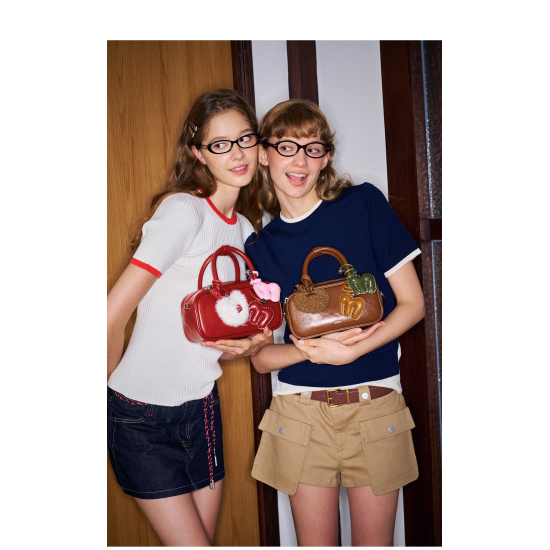 New Style Cute Winter-Spring Bag for College Students, Small and Exclusive Shoulder Bag